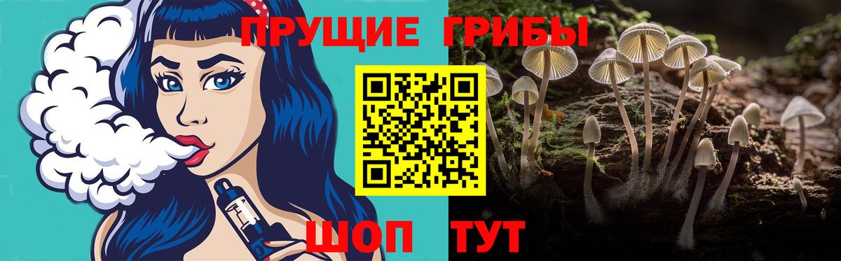 Галлюциногенные грибы Psilocybe  Вход с VPN  Каменск-Шахтинский  Псилоцибиновые грибы мицелий 